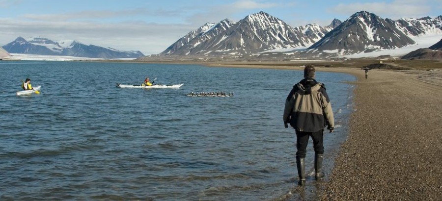 ganzen voortdrijven met kano's