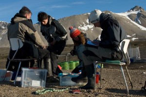 het team aan het werk
