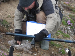 ...de ganzen wachten af