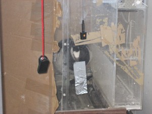 gans op lopende band