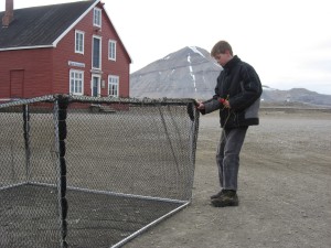 Cages for holding geese