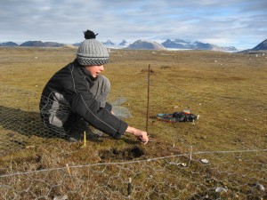 Experiment: knippen van gras
