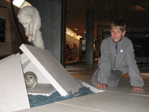 Janwillem heeft wat met vosjes