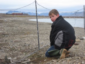 Een fuik voor ganzen bouwen