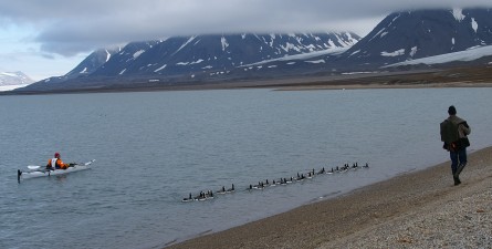 een wandeling langs het strand