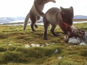 klik hier om de video op te starten