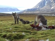 klik hier om de video op te starten