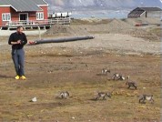 klik hier om de video op te starten