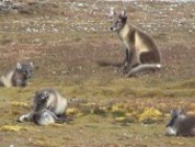 klik hier om de video op te starten