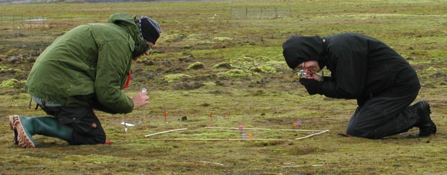 opnames maken bij de fragile exclosures