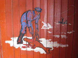 een zeehond villen op het ijs