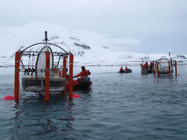 mesocosms klaarmaken